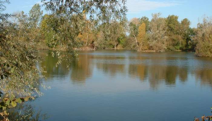 Come on discover Ferme des Tommelles angling site